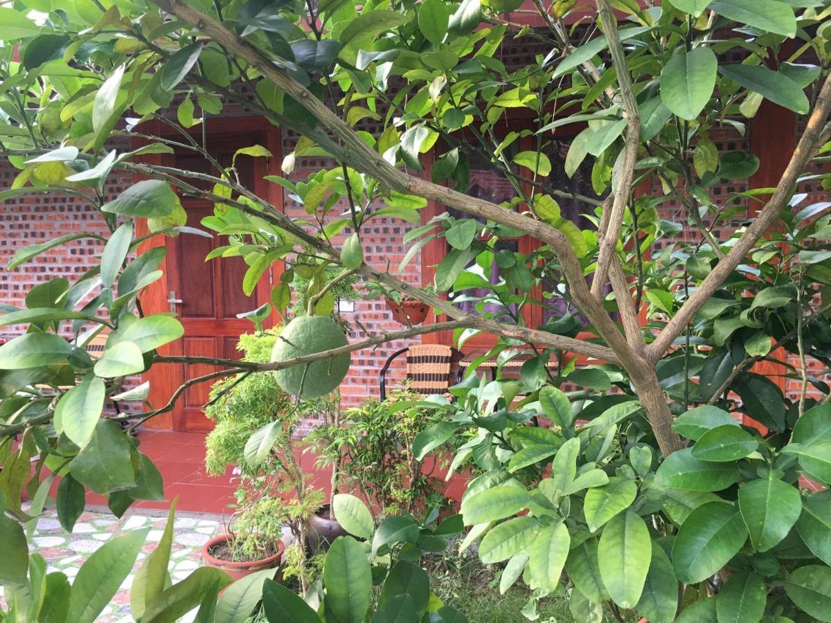 Tam Coc Thanh Dat Homestay Ninh Bình Exteriör bild