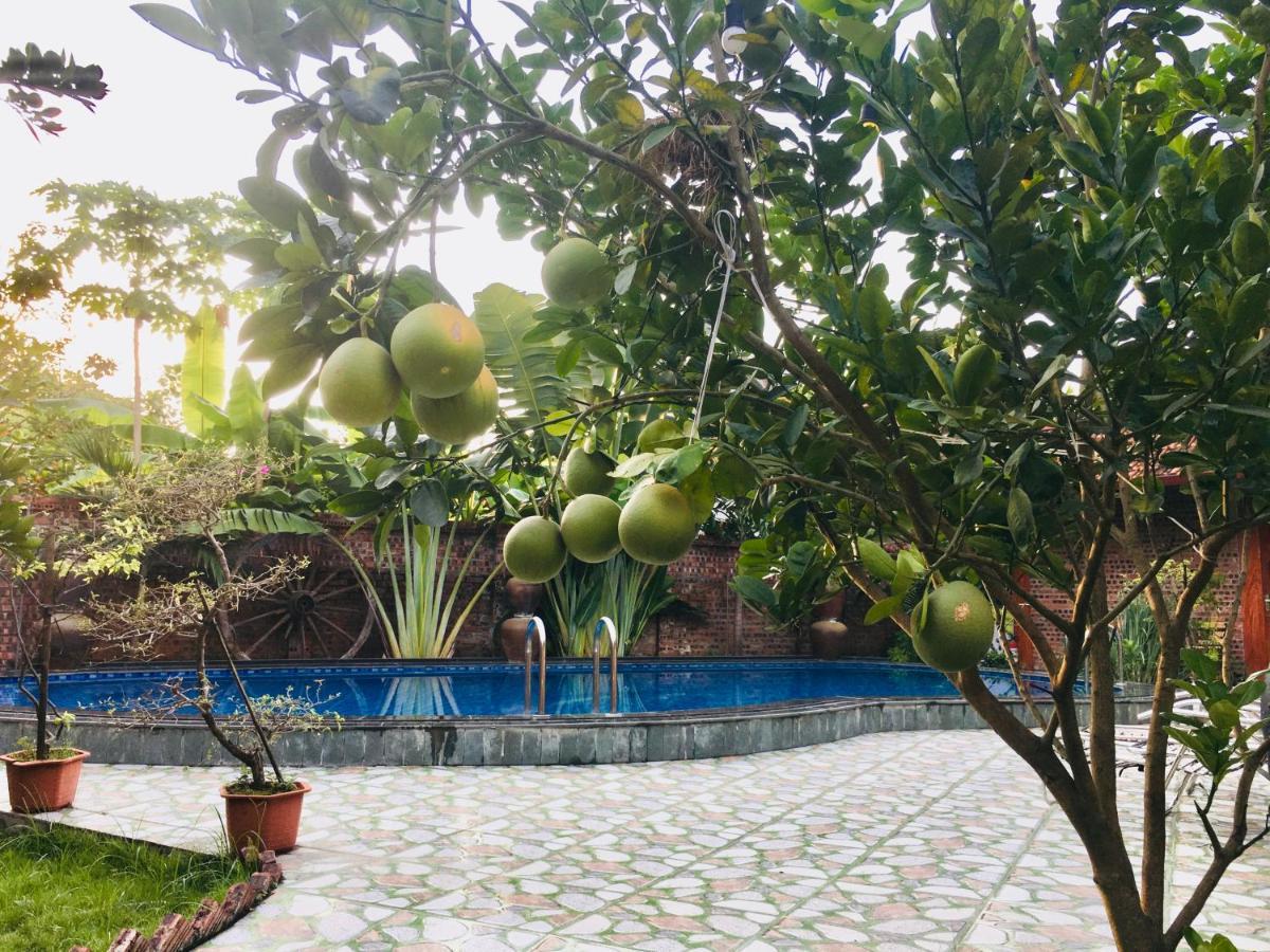 Tam Coc Thanh Dat Homestay Ninh Bình Exteriör bild