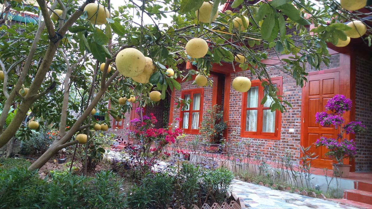 Tam Coc Thanh Dat Homestay Ninh Bình Exteriör bild