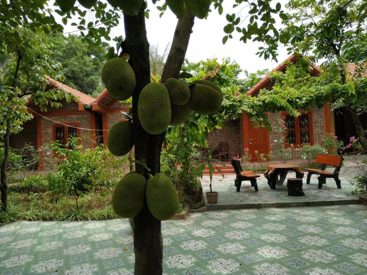Tam Coc Thanh Dat Homestay Ninh Bình Exteriör bild